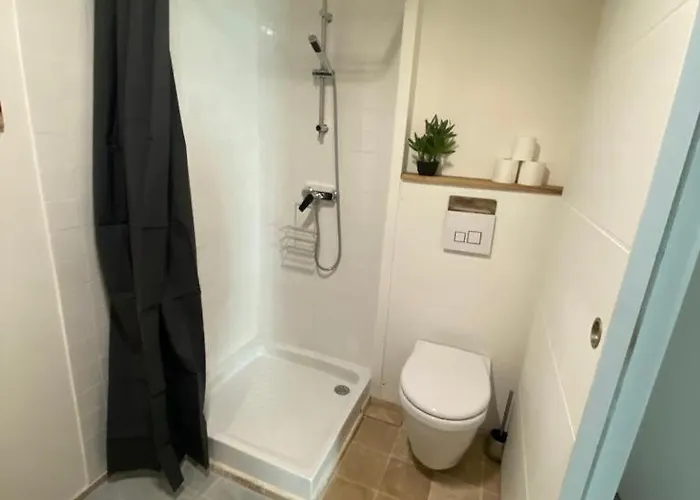 Centre-ville Apartment Bagneres-de-Bigorre